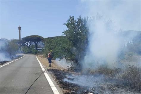 Vasto Incendio Di Sterpaglie Sulla Pontina Le Squadre Dei Vigili Del