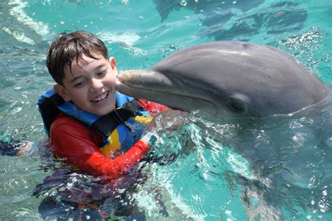 Actividades para el Día del Niño en Cancún 2023 Dolphin Discovery Blog