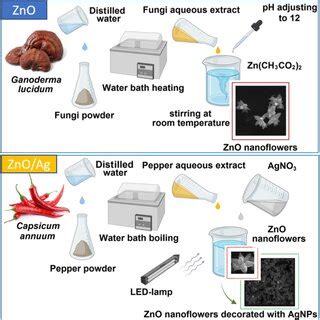 A Uv Vis Absorption Of The Bare Zno Nps And Zno Nps Decorated With Ag