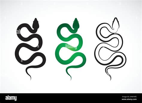 Vector De Diseño De Serpiente Sobre Fondo Blanco Animales Reptil