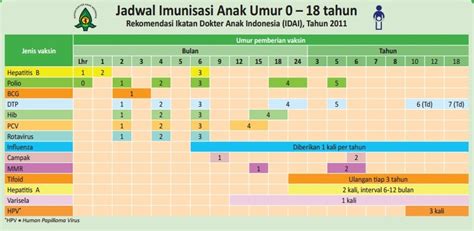 Jadwal Imunisasi Bayi Anak Lengkap 0 18 Tahun And Jenisnya