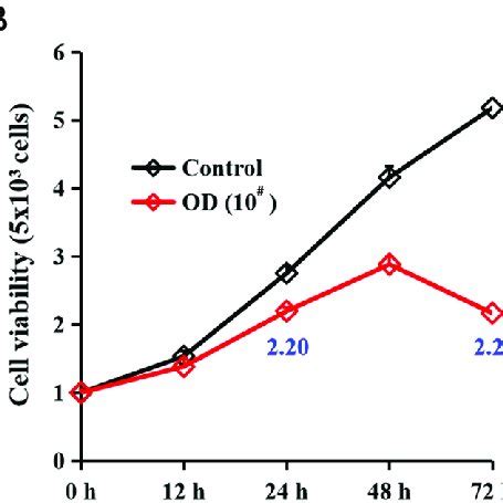 Inhibitory Effect Of Oridonin On HT29 Human Colon Cancer Cells A The