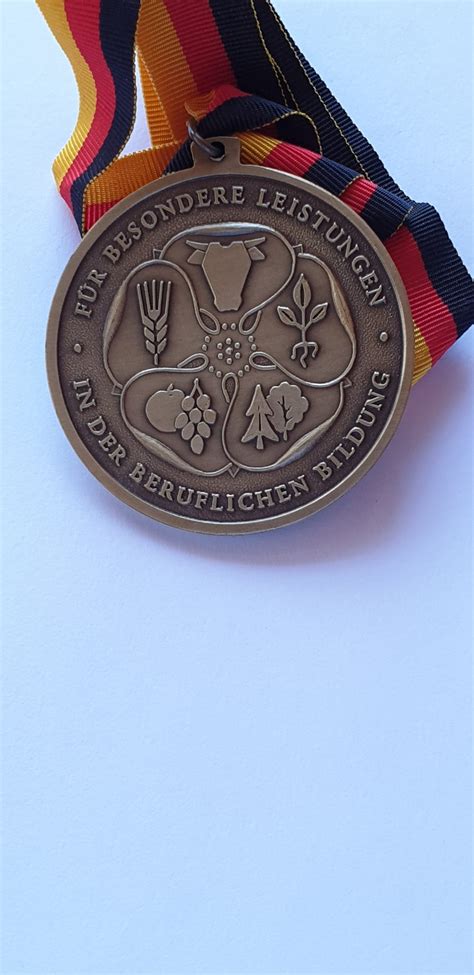 Medaille für besondere Leistungen in der beruflichen Bildung Bronze