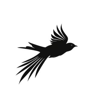 Bird Flying Sparrow Silhouette Sparrow Bird Silhouette PNG