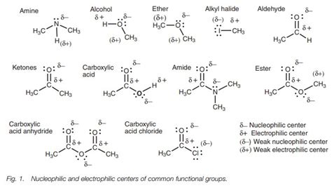 Nucleophiles And Electrophiles Organic Structures