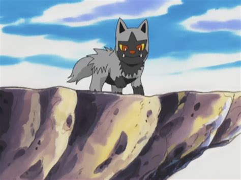 Poochyena Rs071 Pokémon Wiki Fandom