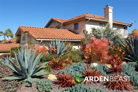 Desert Landscaping Ideas For Your Backyard Complete Guide