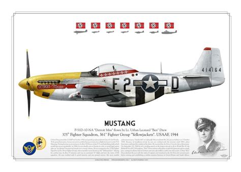 P-51D “Mustang” "Detroit Miss" USAAF PP-03 - Aviationgraphic