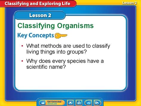 Classifying Organisms What Methods Are Used To Classify