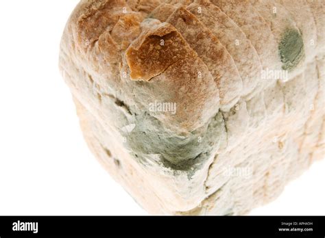 Mouldy Bread Stock Photo Alamy