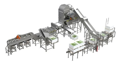 Industrial Olive Processing Systems Gwi