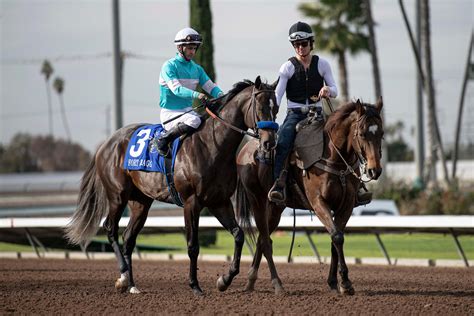 2023 Florida Derby Cheat Sheet | America's Best Racing