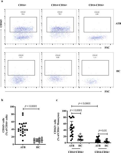 Expression Of Cd163 On Cd16⁺ Monocytes In Atb And Hc Groups A