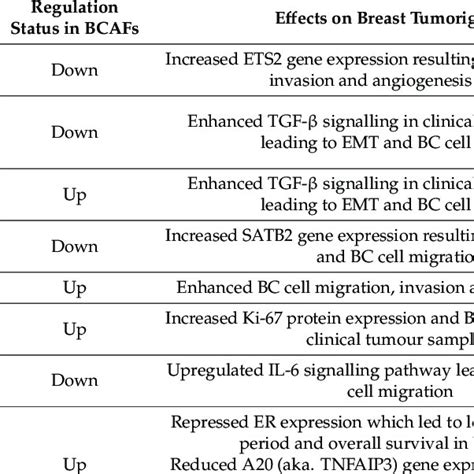 Overview Of Mirna Dysregulation In Bcafs And Its Effects On Bc