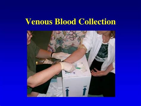 PPT - Venous Blood Collection PowerPoint Presentation - ID:1384198