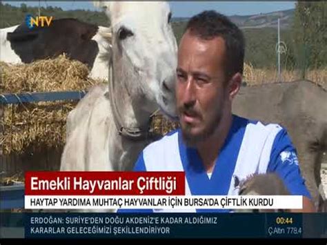 Haytap Emekli Hayvanlar Iftli I Ntv Ek M Youtube