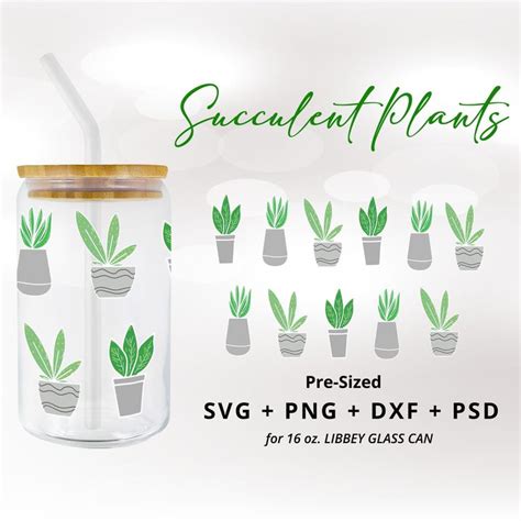 Succulent Plants Design For Oz Libbey Glass Crazy Plant Lady Svg