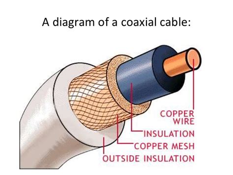 Diagram Of A Coaxial Cable Coaxial Cable Speaker Dielectric