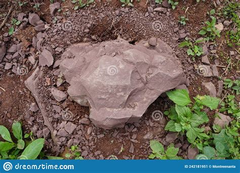 Raw Specimen Of Red Shale Clastic Sedimentary Rock Isolated On White