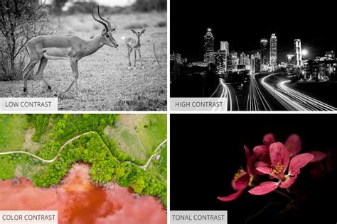 Contrast in Photography: 15 Tips and Examples