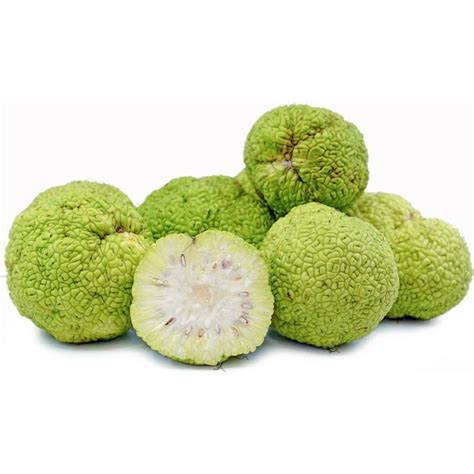 Hedge Apples Purpose