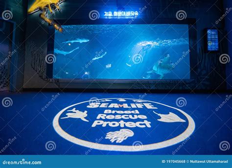 Busan, South Korea - February 21, 2020 : Sea Life Busan Aquarium is an ...