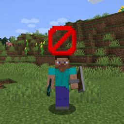 how to disable nametags in minecraft