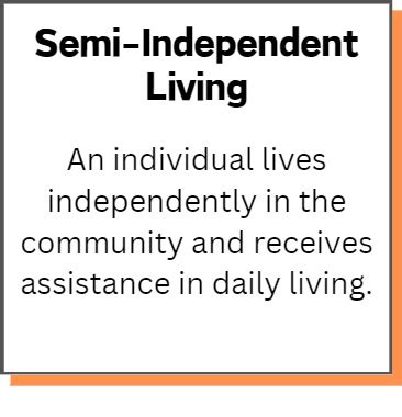 Supports For Adults BeConnected Support Services