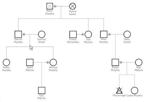 47 Genogram Templates In PDF MS Word Apple Pages Google Docs