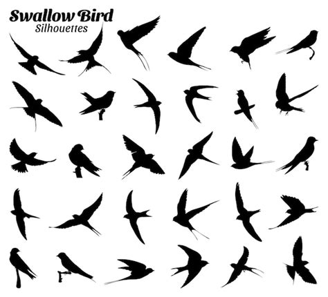 Premium Vector Swallow Bird Silhouettes Vector Illustration Set