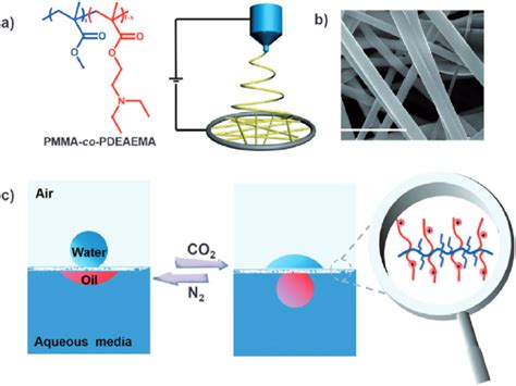 Flowchart Of Nanofiber Membrane Preparation Che Et Al 2015