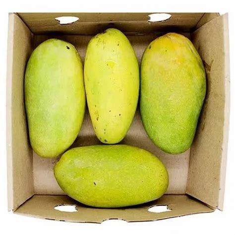 Green Fresh Dasheri Mango Carton Packaging Size Kg At Kg In