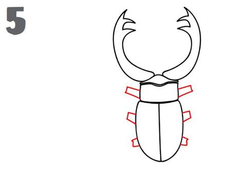 How To Draw A Stag Beetle Easy Drawing Tutorial