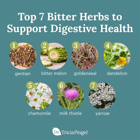 Boost Your Digestive Health with These Top 7 Bitter Herbs