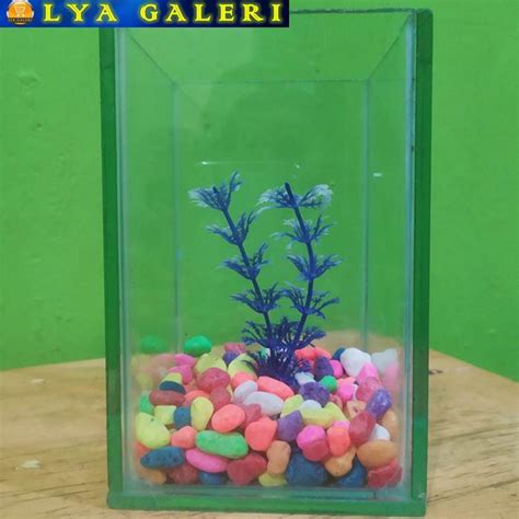 Jual Paket Aquarium Set Artifisial Minimalis Ungu Shopee Indonesia