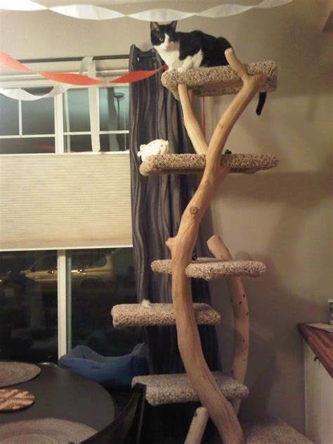 A Cat Sitting On Top Of A Tree In A Living Room