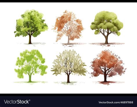 Four seasons trees isolated on background Vector Image