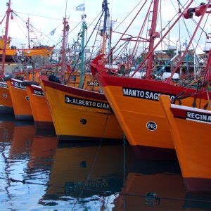 Mar Del Plata Secreta Itinerario Puerto