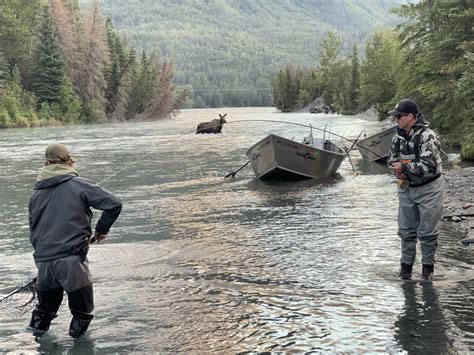 The Art Of Fly Fishing On The Kenai River Techniques Strategies