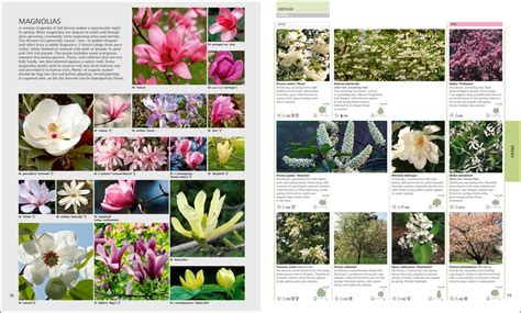 Rhs Encyclopedia Of Plants And Flowers By Dk Booktopia