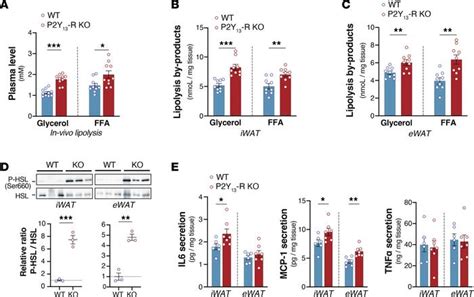 Jci Insight P Y Receptor Deficiency Favors Adipose Tissue Lipolysis