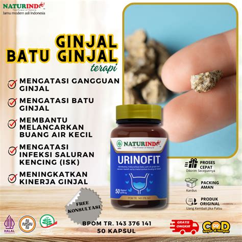 Jual Obat Ginjal Batu Ginjal Infeksi Saluran Kemih Prostat Anyang