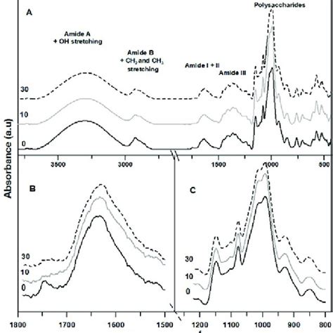 Baseline Corrected And Surface Normalized Ftir Spectra Of Download