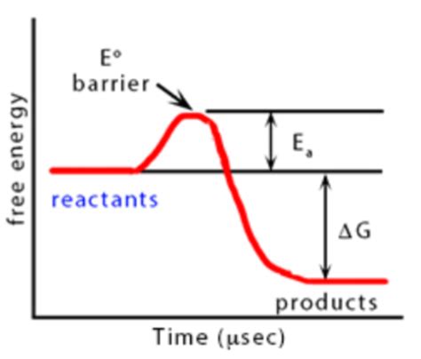 Aamc Practice Chem Phys Flashcards Quizlet