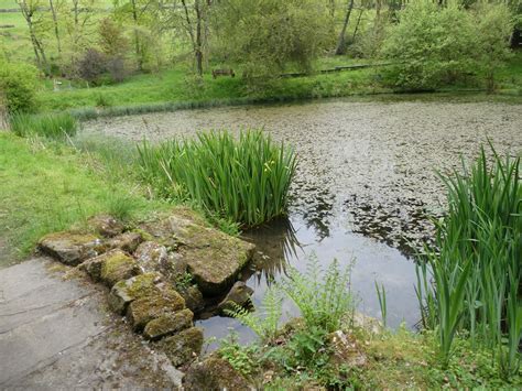 The Tarn In Parcevall Hall Gardens Oliver Dixon Geograph Britain