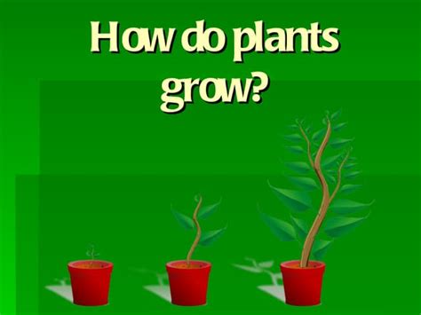 How Do Plants Grow Compressed Ppt