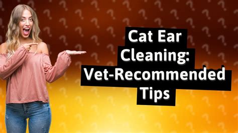 What Do Vets Recommend To Clean Cats Ears Youtube