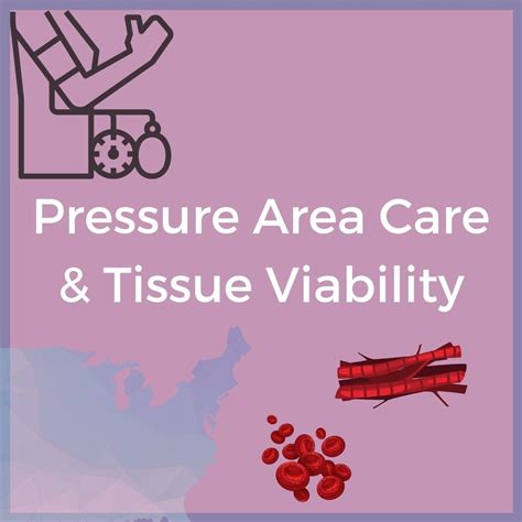 Pressure Area Care And Tissue Viability Verrolyne Training