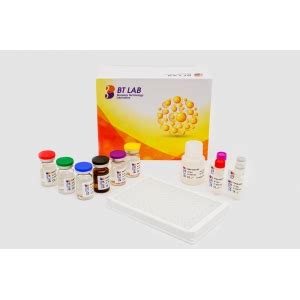 Human Glial Cell Line Derived Neurotrophic Factor Gdnf Elisa Kit