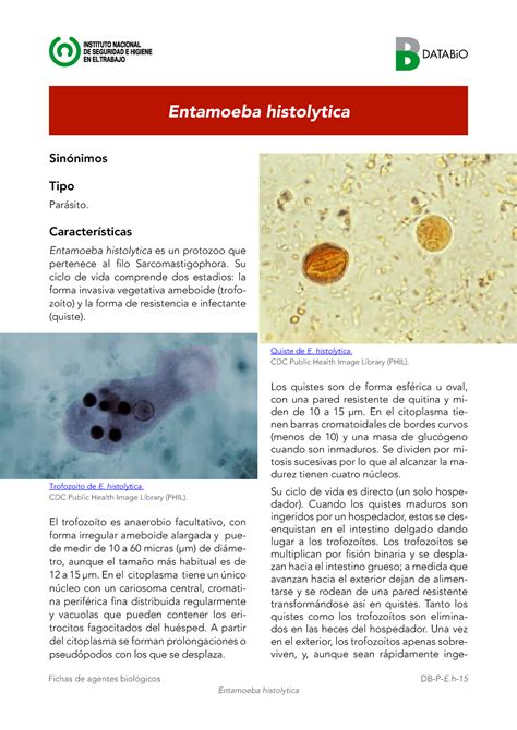 Entamoeba Histolytica 2016 Ddatabio D Fichas De Agentes Biológicos Entamoeba Histolytica Db P